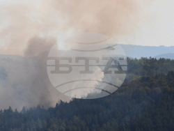 Дебелец - пожар