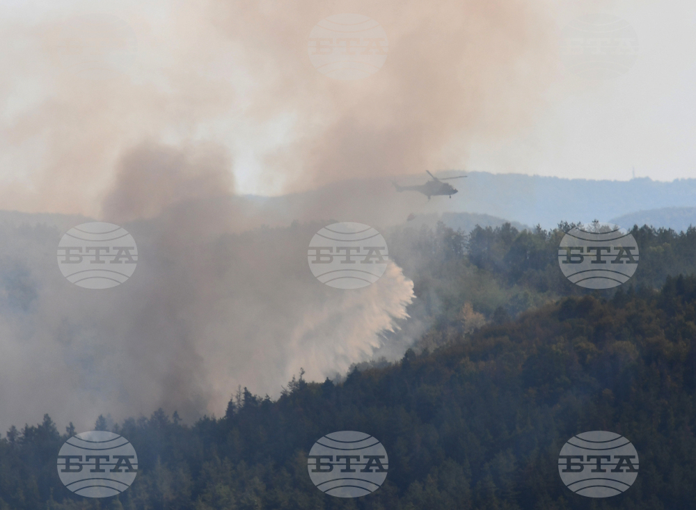 Дебелец - пожар