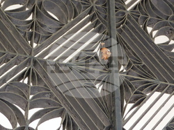 Пазарджик- музей- вандалски акт