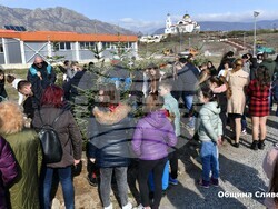 БТА: Снимка: Община Сливен - Ученици и учители от 11-то училище в Сливен посадиха 11-годишни 11 елхи