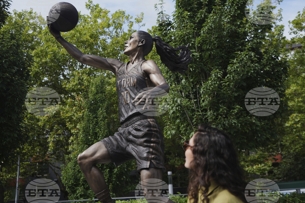 Storm Bird Basketball