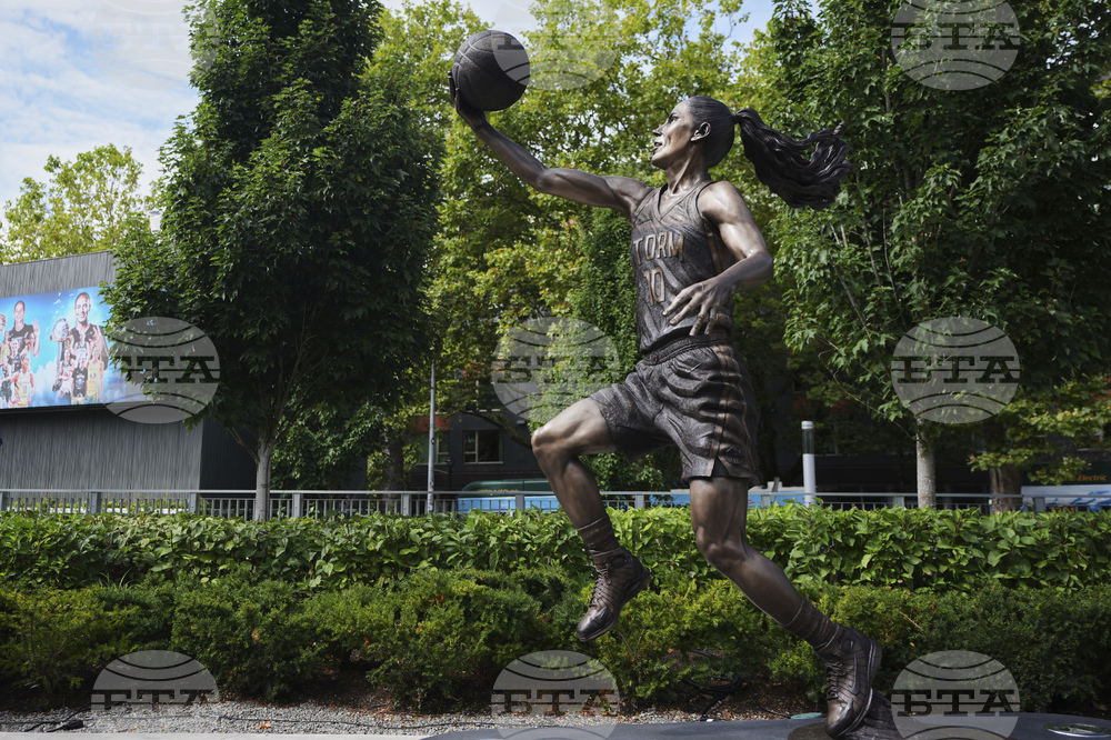 Storm Bird Basketball