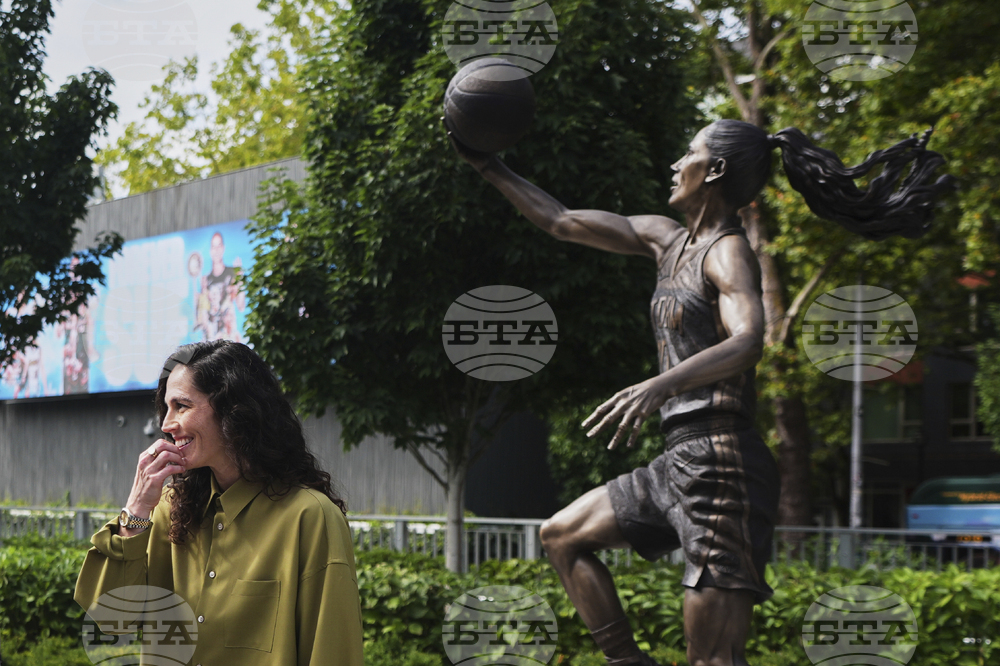 Storm Bird Basketball