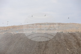 Село Шишманци - пожар