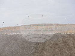 Село Шишманци - пожар