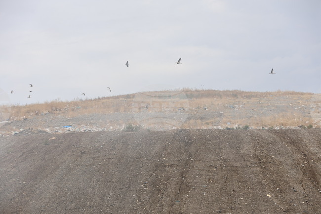 Заради пожара в сметището в Шишманци РИОСВ Пловдив поставя мобилната станция за измерване на качеството на въздуха в село Белозем 