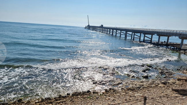 Over 170 Oil Slicks Detected in Bulgarian Black Sea Waters over Past Year - Greenpeace Bulgaria