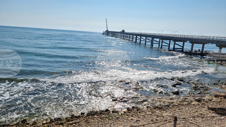 Over 170 Oil Slicks Detected in Bulgarian Black Sea Waters over Past Year - Greenpeace Bulgaria