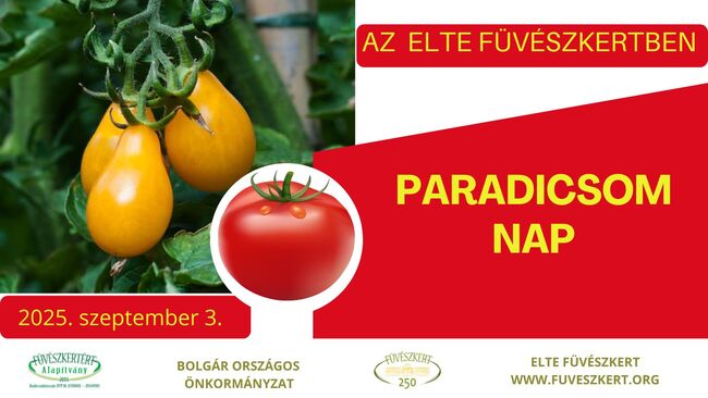 Български сортове домати ще бъдат представени в Ботаническата градина на Будапеща през септември