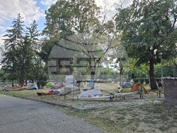 Видин - „Международна регата по река Дунав“ - гребен поход