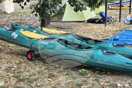 Видин - „Международна регата по река Дунав“ - гребен поход