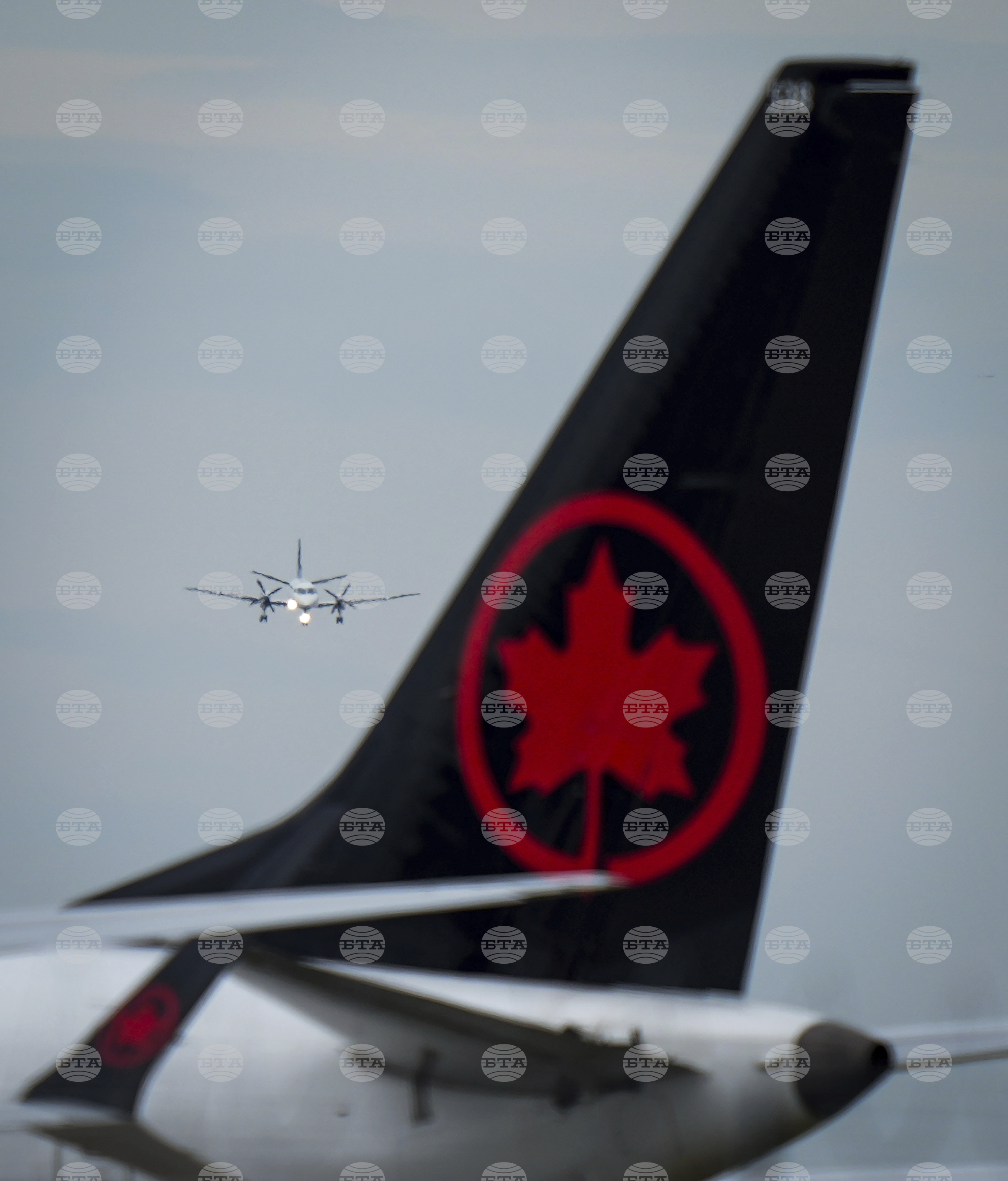 Air Canada Flight Attendants 20250818