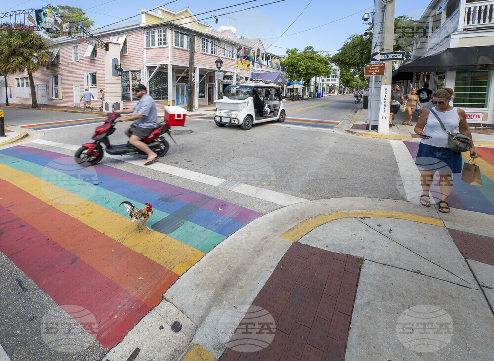 Florida Rainbow Cross Walks