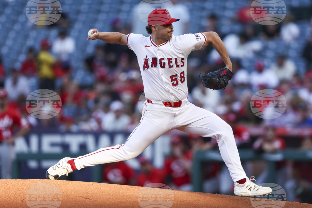 Reds Angels Baseball