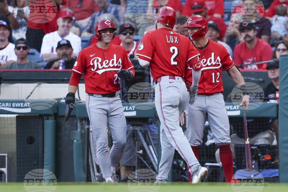 Reds Angels Baseball
