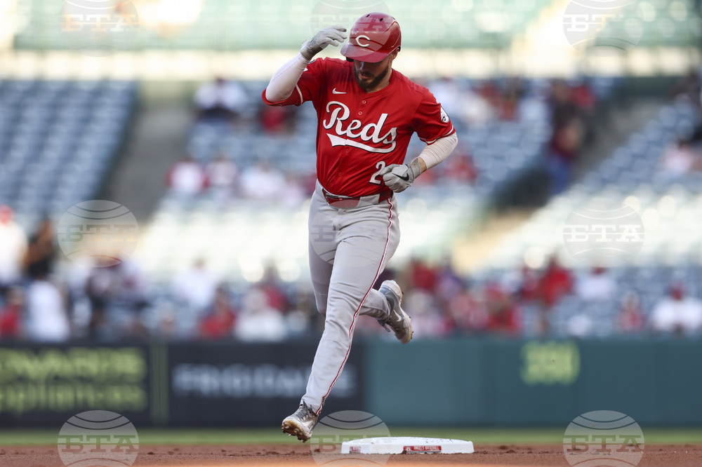 Reds Angels Baseball