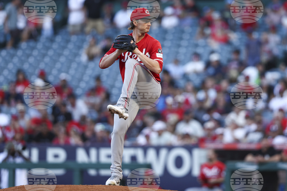 Reds Angels Baseball