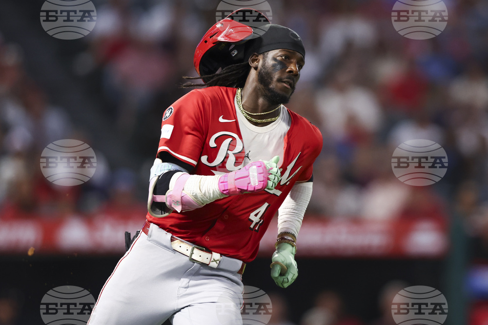 Reds Angels Baseball