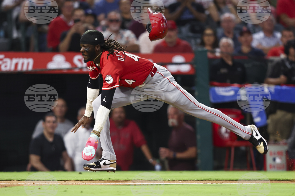 Reds Angels Baseball