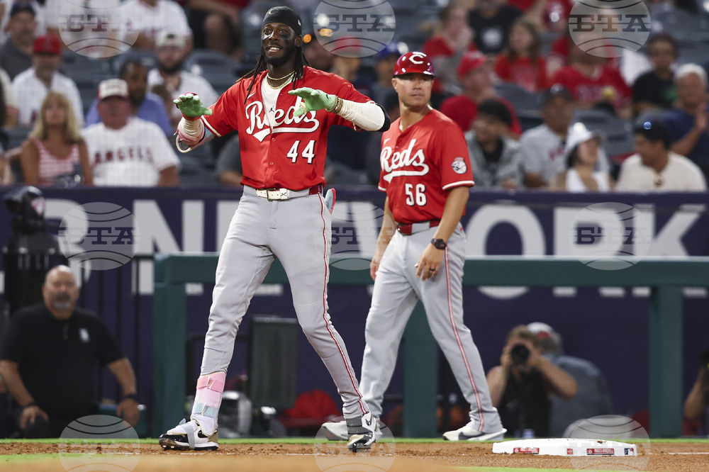 Reds Angels Baseball