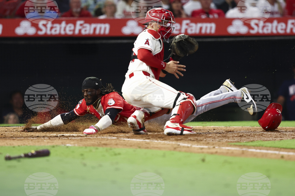 Reds Angels Baseball