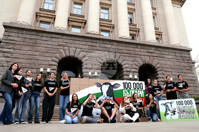 Citizens and Activists Call for Ban on Calf Caging