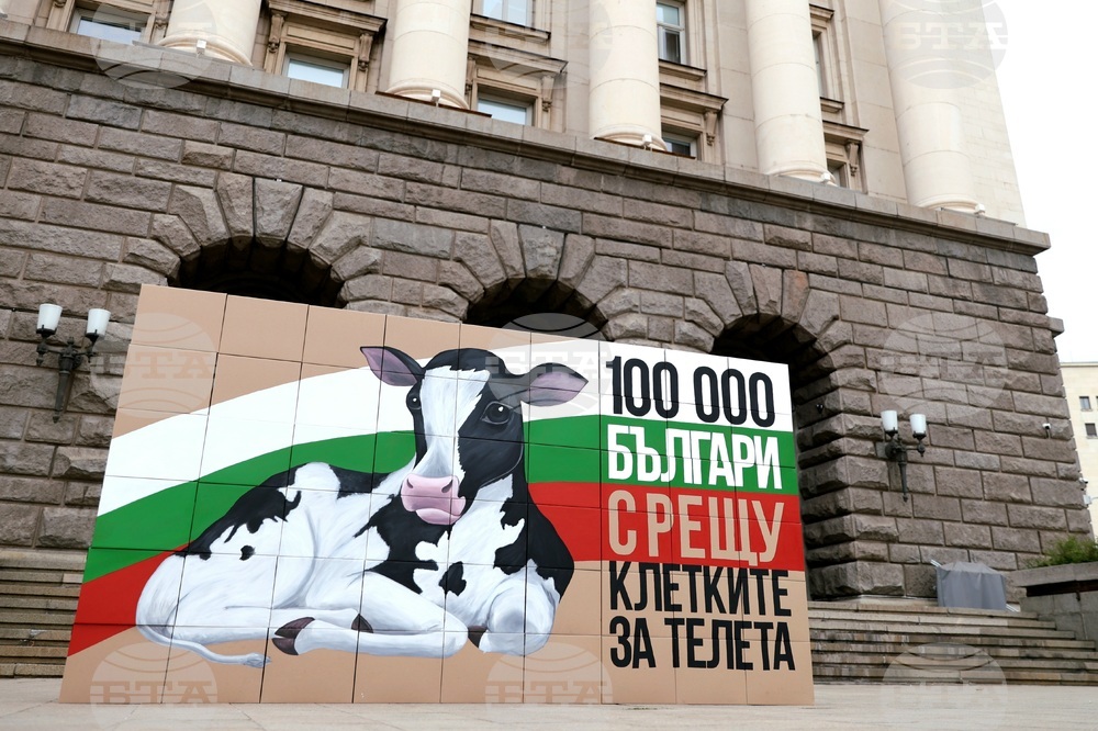 Сдружение „Невидими животни“ - подписи