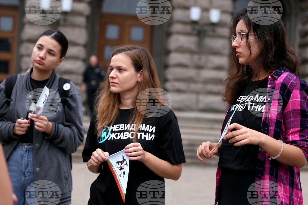 Сдружение „Невидими животни“ - подписи