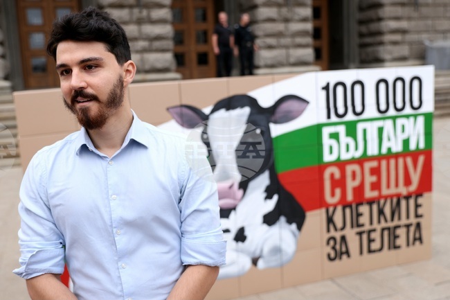 За забрана за отглеждането на телета в клетки призоваха граждани и активисти 