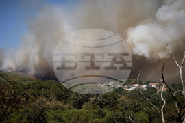 Spain Fires