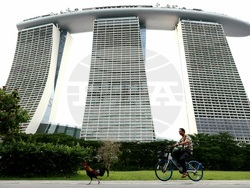 Световен ден на фотографията