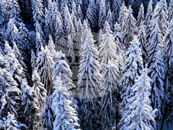 Световен ден на фотографията