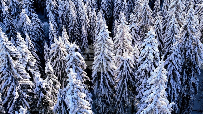 Подходящи за туризъм са условията в планините, туристите да са със зимна екипировка, препоръчват от ПСС при БЧК 