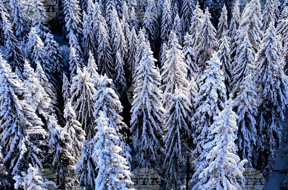 Подходящи за туризъм са условията в планините, туристите да са със зимна екипировка, препоръчват от ПСС при БЧК 