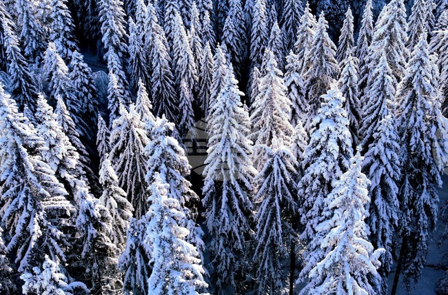 Подходящи за туризъм са условията в планините, туристите да са със зимна екипировка, препоръчват от ПСС при БЧК 