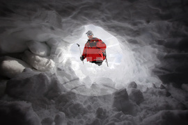 Световен ден на фотографията