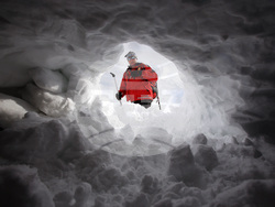 Световен ден на фотографията