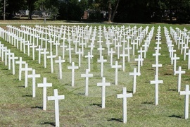 Световен ден на фотографията