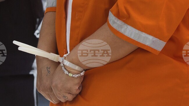 Британски тийнейджър бе осъден на 14 месеца затвор за притежание на наръчник на "Ал Каида"