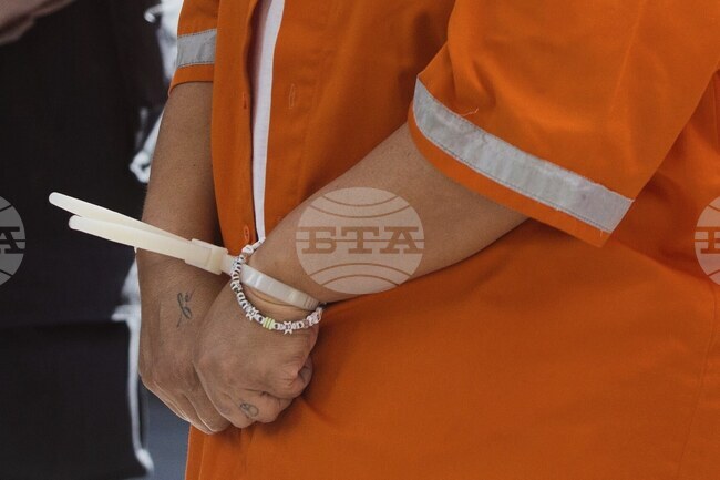 Британски тийнейджър бе осъден на 14 месеца затвор за притежание на наръчник на "Ал Каида"