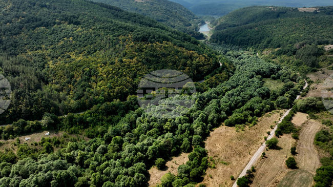Националната комисия по лесозащита обсъди състоянието на горите и мерките за 2026 г.