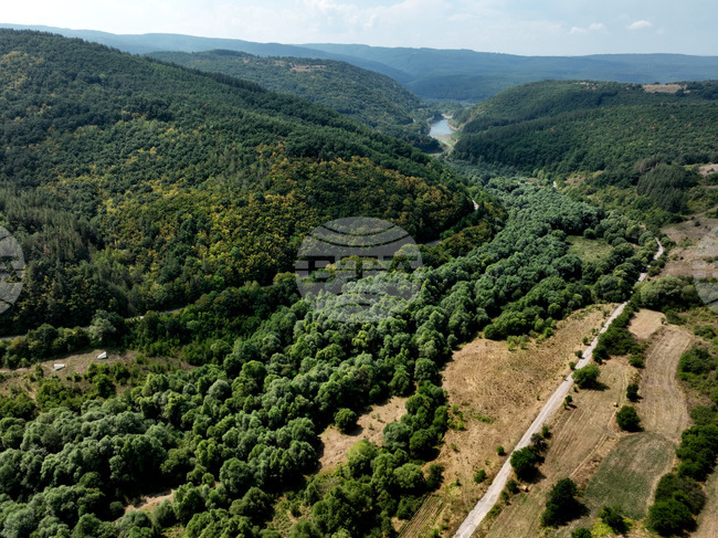 Глобалното обезлесяване се забавя, но горите остават под натиск, показва доклад на ФАО