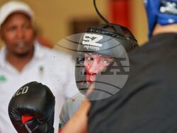 Национален отбор на България по бокс - открита тренировка