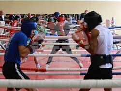 Национален отбор на България по бокс - открита тренировка