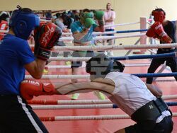 Национален отбор на България по бокс - открита тренировка