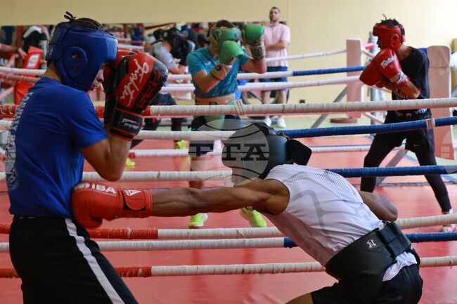 Българският национален отбор по бокс за мъже заминава с големи очаквания за Световното първенство, заяви треньорът Жоел Арате