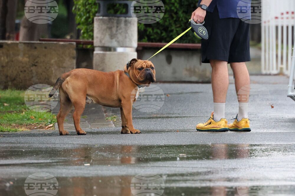 The Weather on October 15