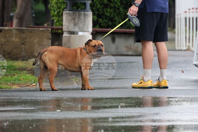 The Weather on October 15