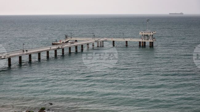 България предприема нови мерки за опазване на китоподобните бозайници в Черно море