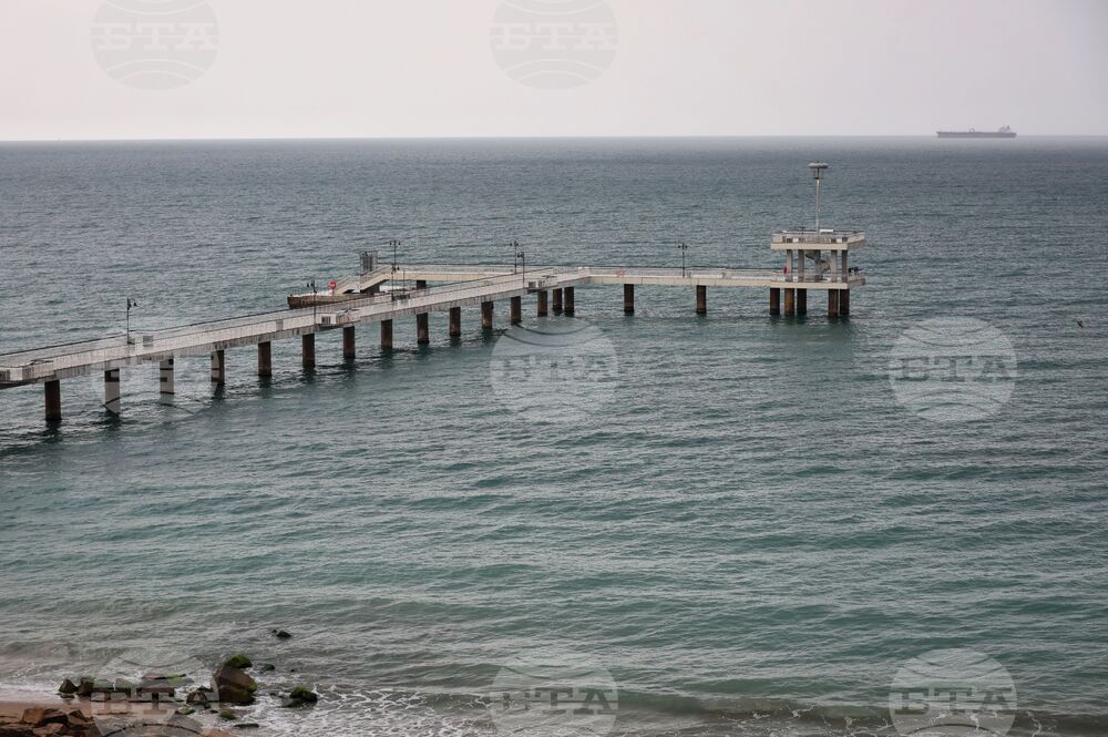 България предприема нови мерки за опазване на китоподобните бозайници в Черно море